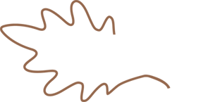 White Oaks Investment Management